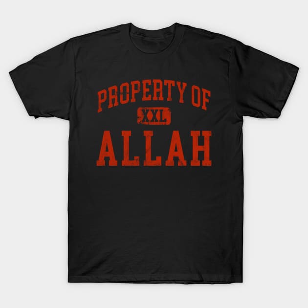 allah (distressed) T-Shirt by RichyTor